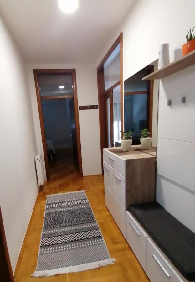 Dionis Centar Apartman *